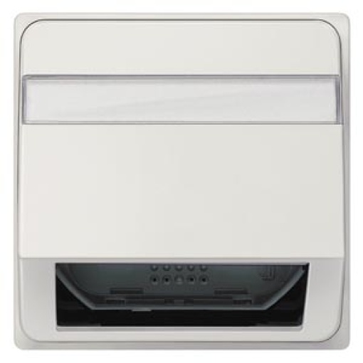 DELTA style inclined outlet for FO mounting plates with labeling field titan