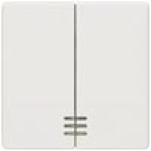 DELTA isystem rocker double with window for twocircuit switch titanium white