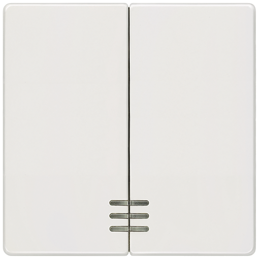 DELTA isystem rocker double with window for twocircuit switch titanium white