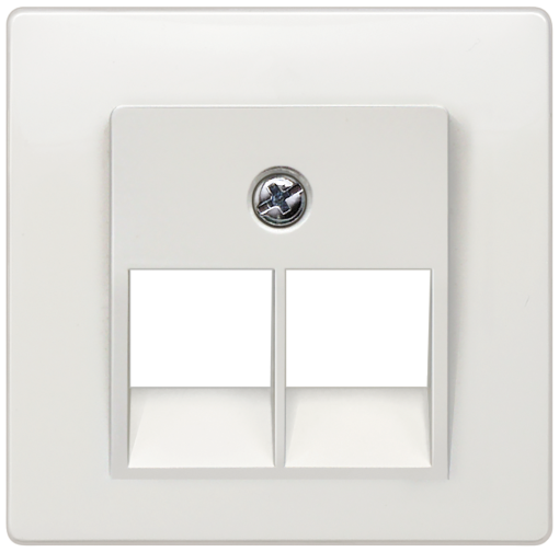 DELTA isystem cover plate for UAE connection socket Cat3 double titanium 