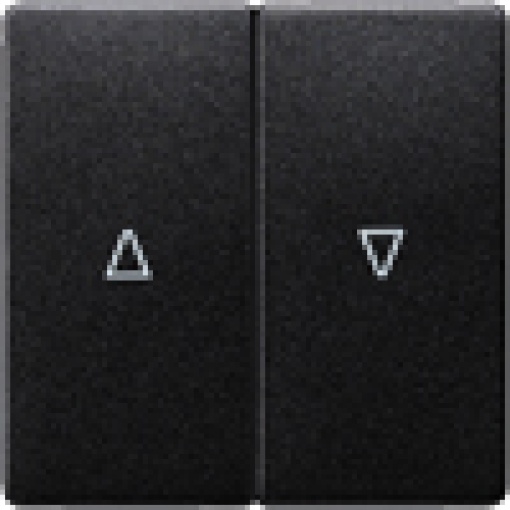 DELTA isystem rocker double with shutterblind UpDown symbols carbon metallic
