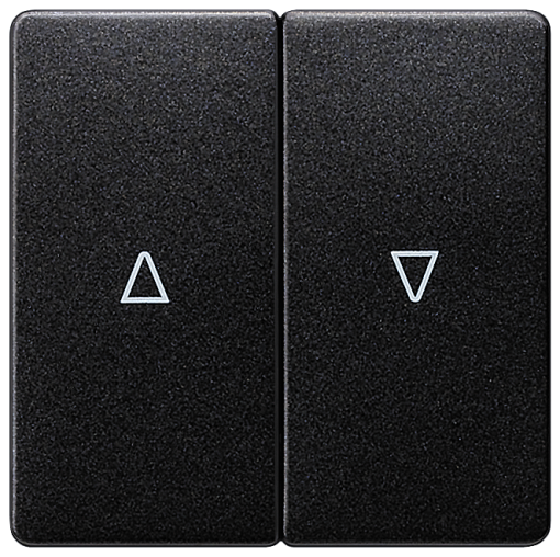 DELTA isystem rocker double with shutterblind UpDown symbols carbon metallic