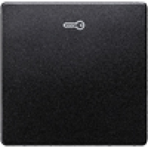 DELTA isystem rocker with door opener symbol carbon metallic