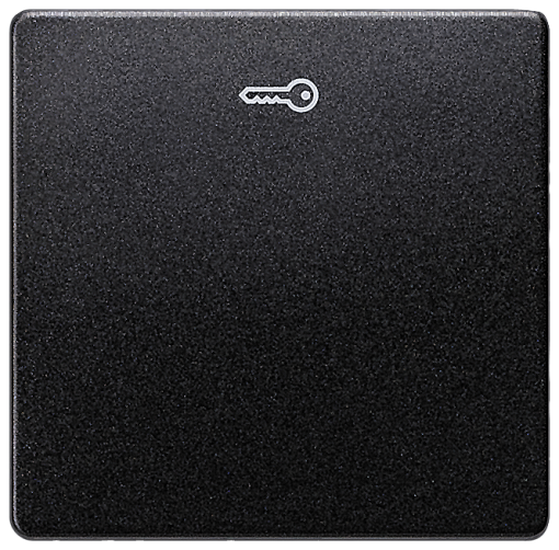 DELTA isystem rocker with door opener symbol carbon metallic