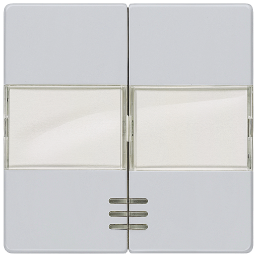 DELTA isystem rocker double with labeling field and window for twocircuit s