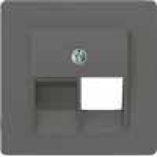 DELTA isystem cover plate for UAE connection socket Cat3 single carbon me