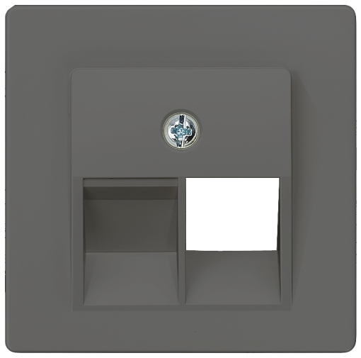 DELTA isystem cover plate for UAE connection socket Cat3 single carbon me