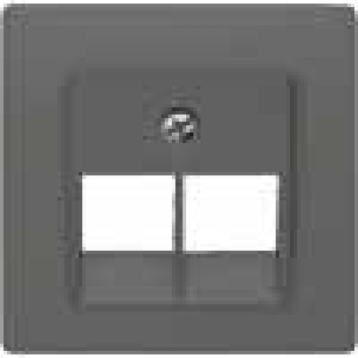 DELTA isystem cover plate for UAE connection socket Cat3 double carbon me