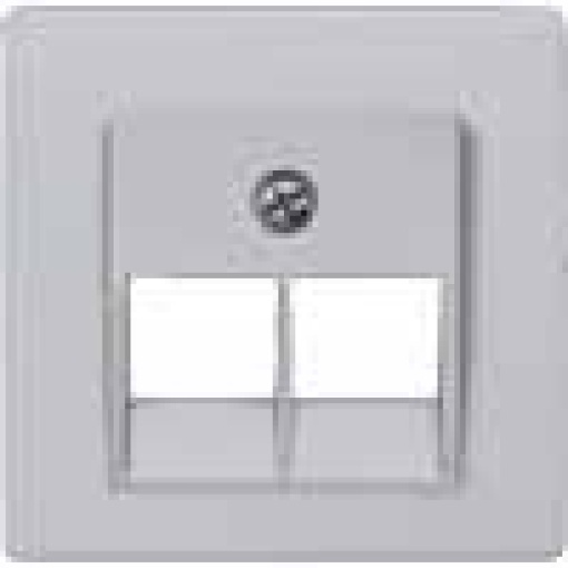 DELTA isystem cover plate for UAE connection socket Cat3 double aluminum 