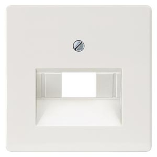 DELTA isystem cover plate for UAE connection socket for single and double 