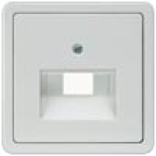 DELTA profil cover plate for UAE connection socket for single and double ti