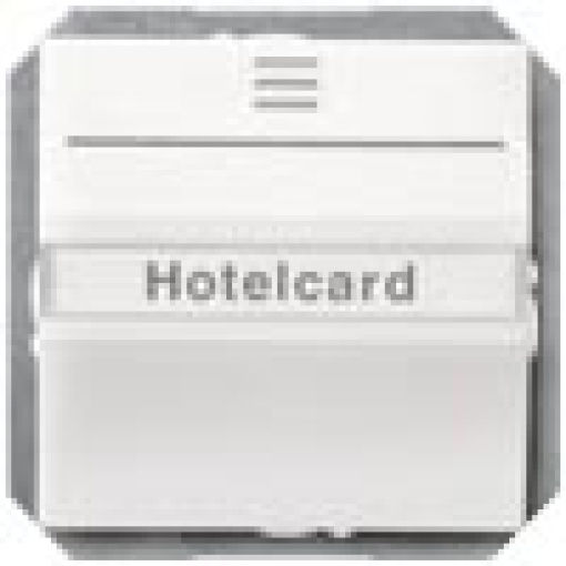 DELTA isystem hotel card switch illuminated with window and labeling field 