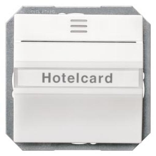 DELTA isystem hotel card switch illuminated with window and labeling field 