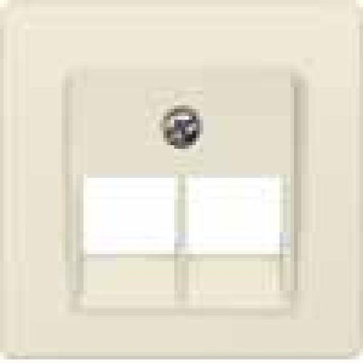 DELTA isystem cover plate for UAE connection socket Cat3 double electric 