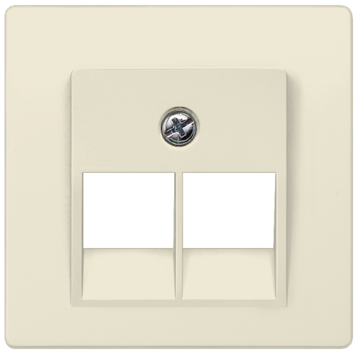 DELTA isystem cover plate for UAE connection socket Cat3 double electric 