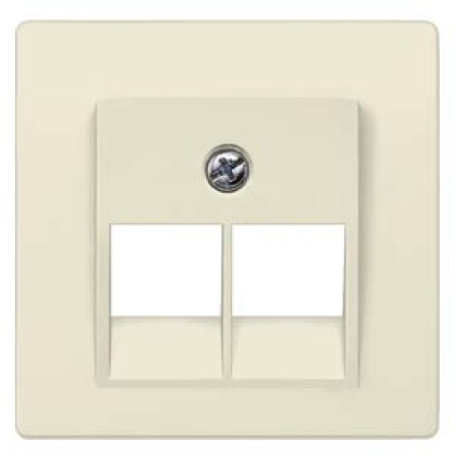 DELTA isystem cover plate for UAE connection socket Cat3 double electric 