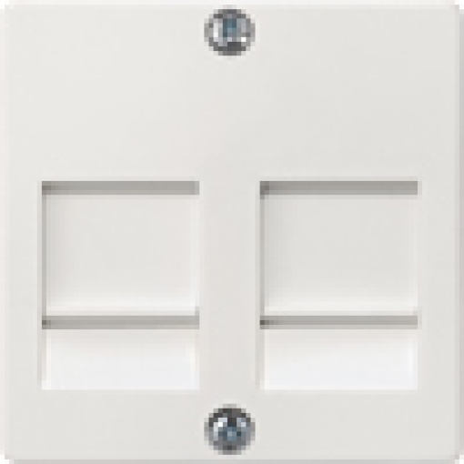 DELTA isystem cover plate for modular jack support plate with labeling field