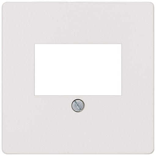 DELTA isystem cover plate for TAEloudspeaker connection socket titanium white