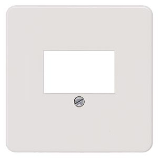 DELTA profil cover plate for TAEloudspeaker multimedia connections silver