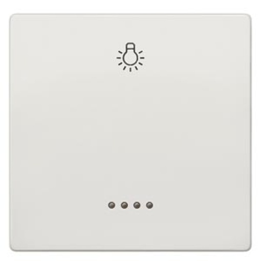 DELTA style rocker with window and light symbol platinum metallic
