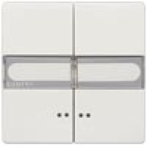 DELTA style rocker double with labeling field and window for twocircuit swit
