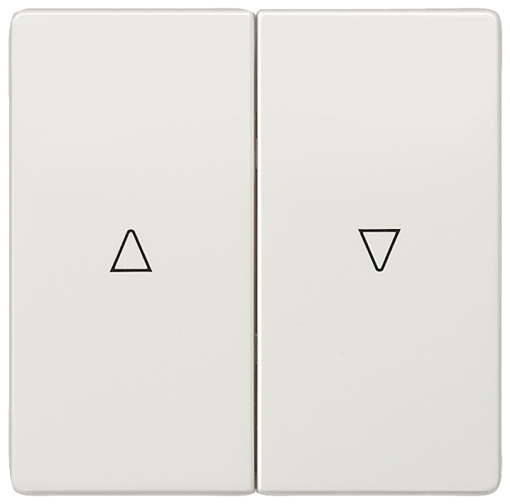 DELTA style rocker double with shutterblind UpDown symbols platinum metallic