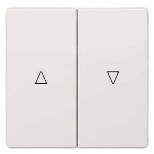 DELTA style rocker double with shutterblind UpDown symbols platinum metallic