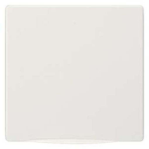 DELTA style cover plate with hinged lid for modification of socket outlets p
