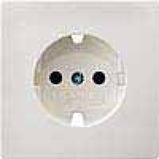 DELTA style socket cover with increased touch protection platin met wo i