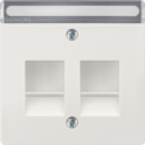 DELTA style cover plate for modular jack support plate with labeling field p