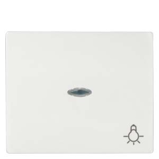 IRIS Rocker switch with transparent window with symbol light polar white