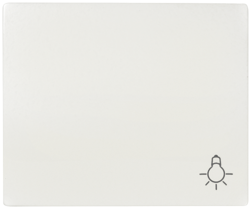 IRIS Rocker switch with symbol light polar white