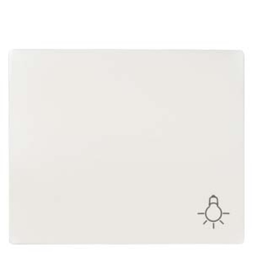 IRIS Rocker switch with symbol light polar white