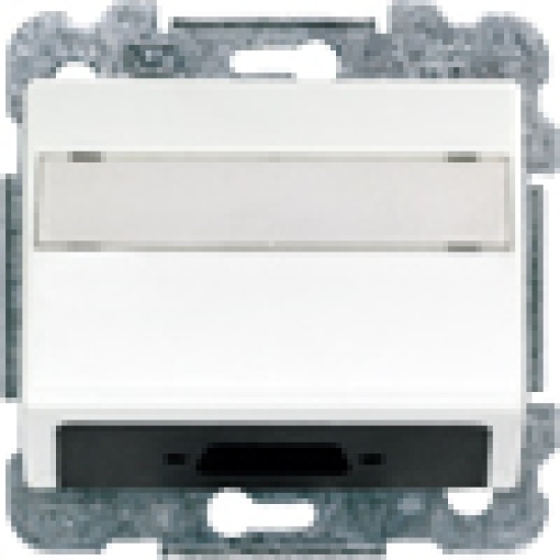 IRIS Cover plate with label for support plates Modular jack connector polar w