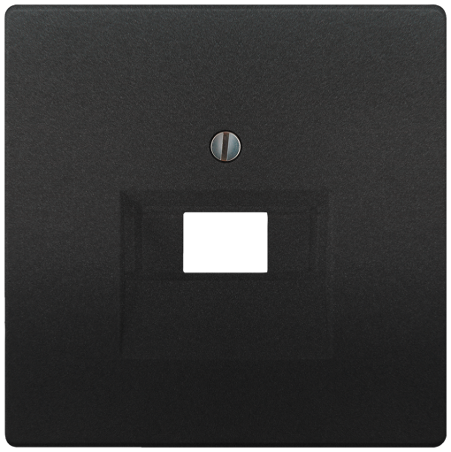 DELTA style cover plate for UAE connection socket for single and double ant