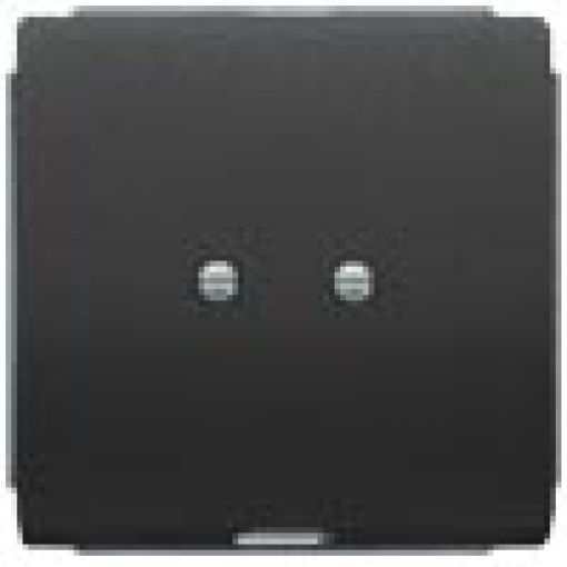 DELTA style outlet plate anthracite
