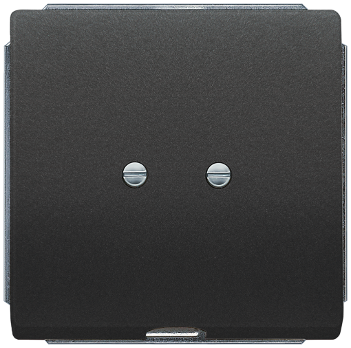 DELTA style outlet plate anthracite