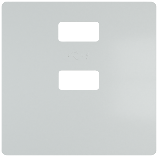 DELTA style cover plate for double USB charger vertical aluminum metallic