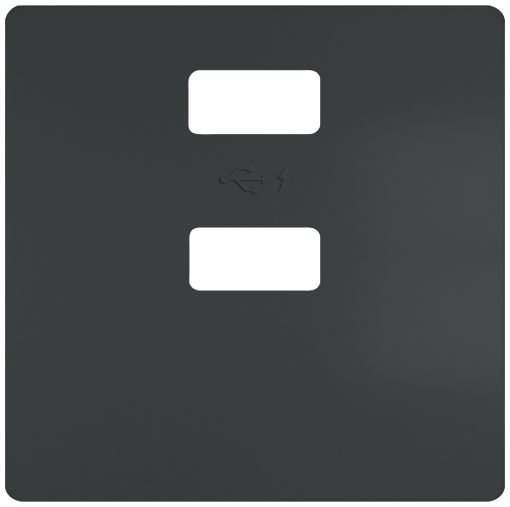 DELTA style cover plate for double USB charger vertical carbon metallic