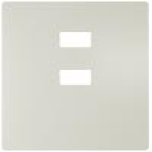DELTA style cover plate for double USB charger vertical titanium white
