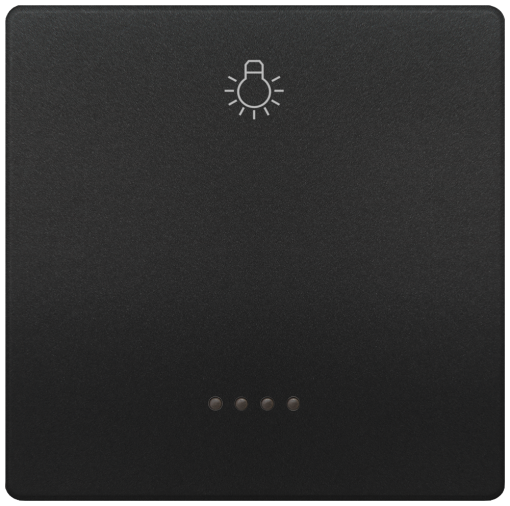DELTA style rocker with window and light symbol anthracite