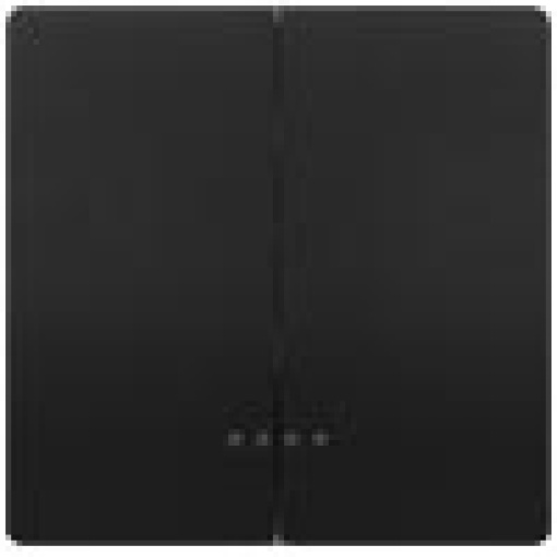 DELTA style rocker double with window for twocircuit switch anthracite