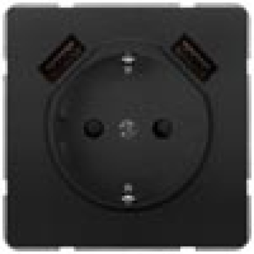 DELTA style SCHUKO socket outlet with double USB charger anthracite