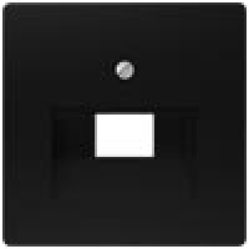 DELTA isystem cover plate for UAE connection socket for single and double 