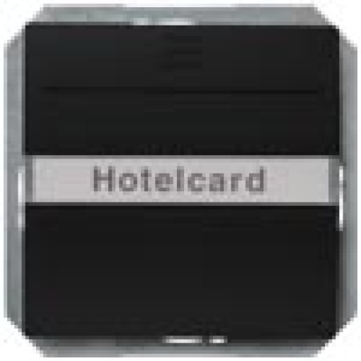 DELTA isystem hotel card switch illuminated with window and labeling field 