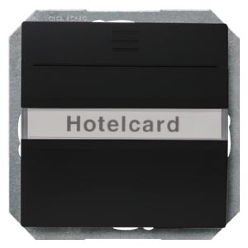 DELTA isystem hotel card switch illuminated with window and labeling field 