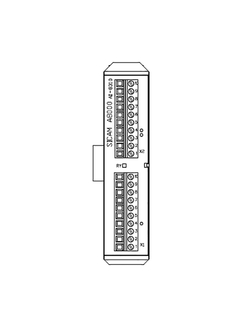 AI8310 ANALOG INPUT 2X2 PT100PT1000