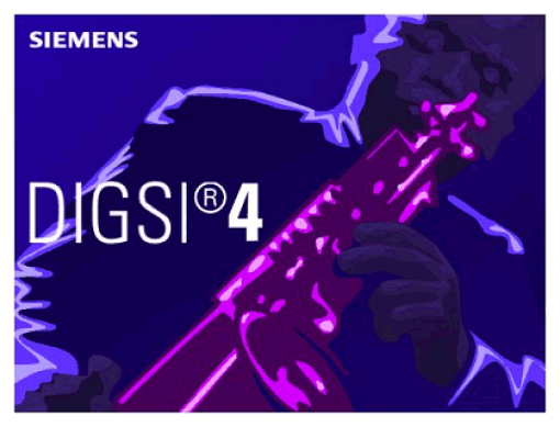 DIGSI 4 PROFESSIONAL ENGINEERING SOFTWARE DIGSI 4 FOR CONFIGURATION AND USAGE