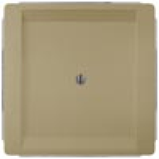 DELTA style blanking cover plate gold