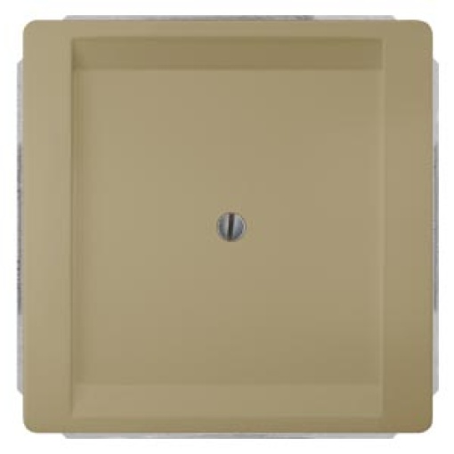 DELTA style blanking cover plate gold